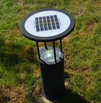 东城街道草坪灯