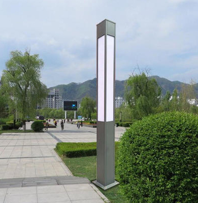 东城街道景观灯